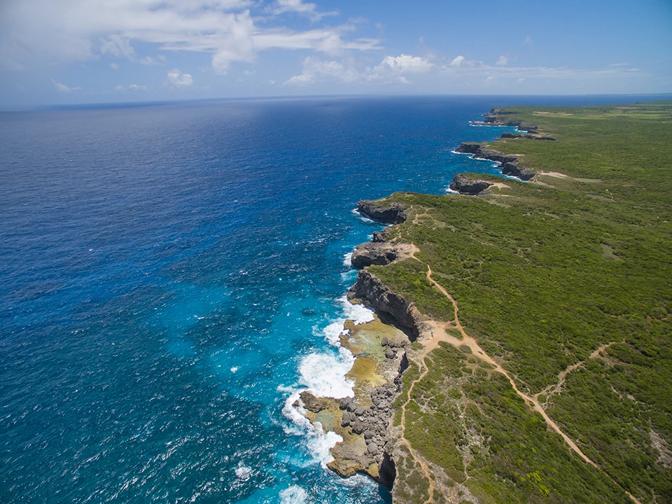 Indalo-Guadeloupe-Guide-Galerie-4
