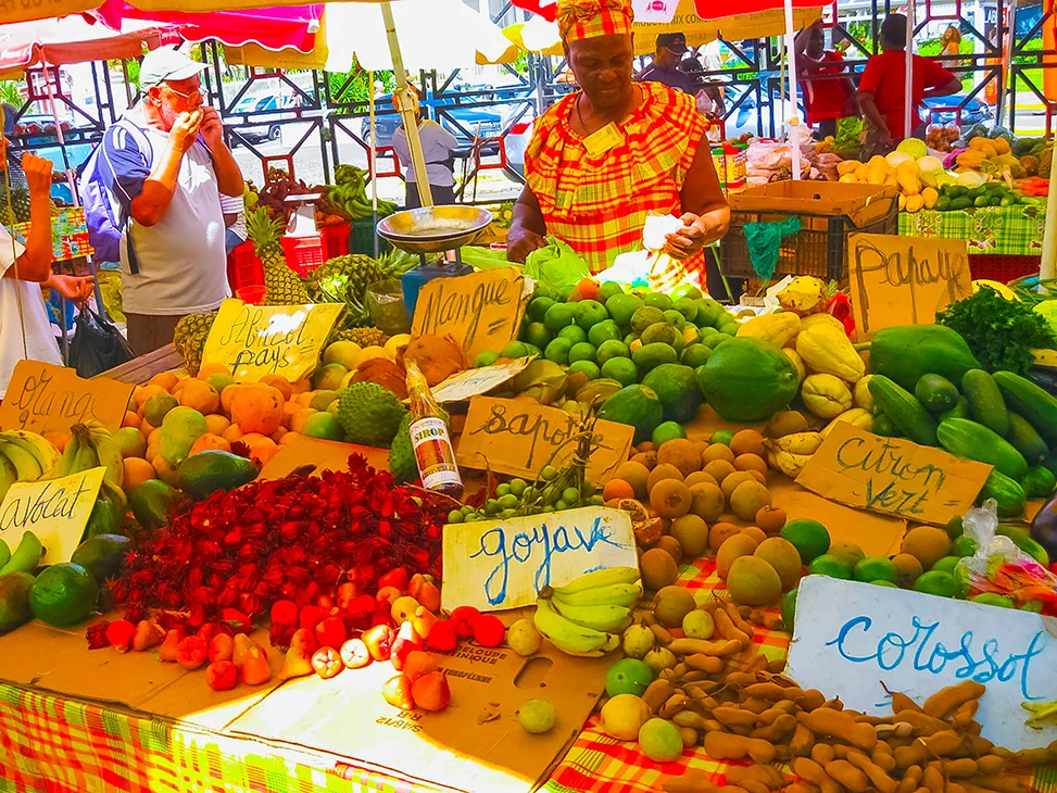 Indalo-Guadeloupe-Guide-Galerie-5