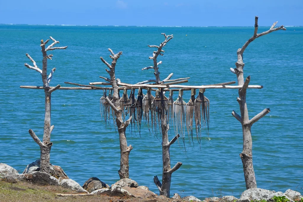 Indalo-Rodrigues-5