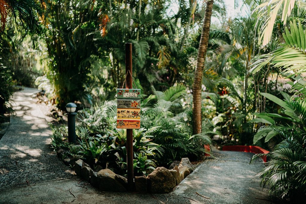 Jardin
