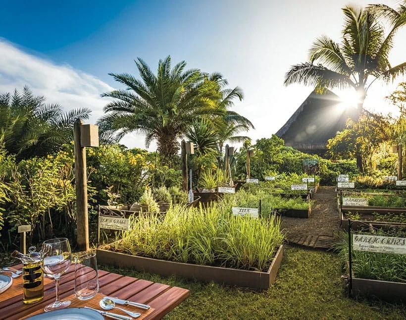 Restaurant « Herb Trail »