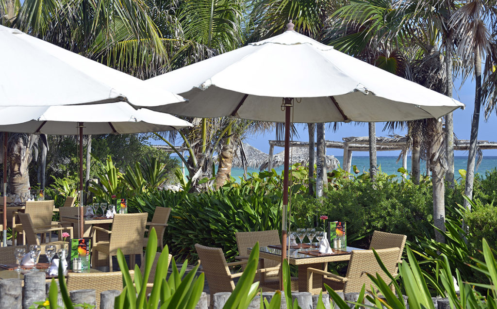 Restaurant grill « Arena Real »