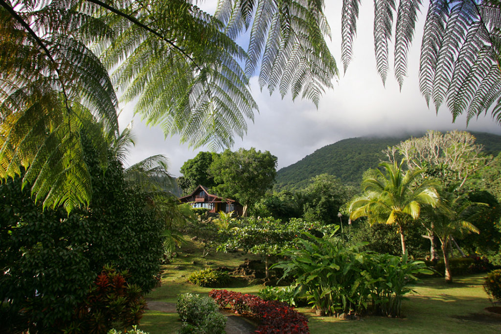 Jardin