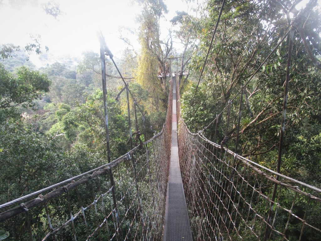 Pont Suspendu