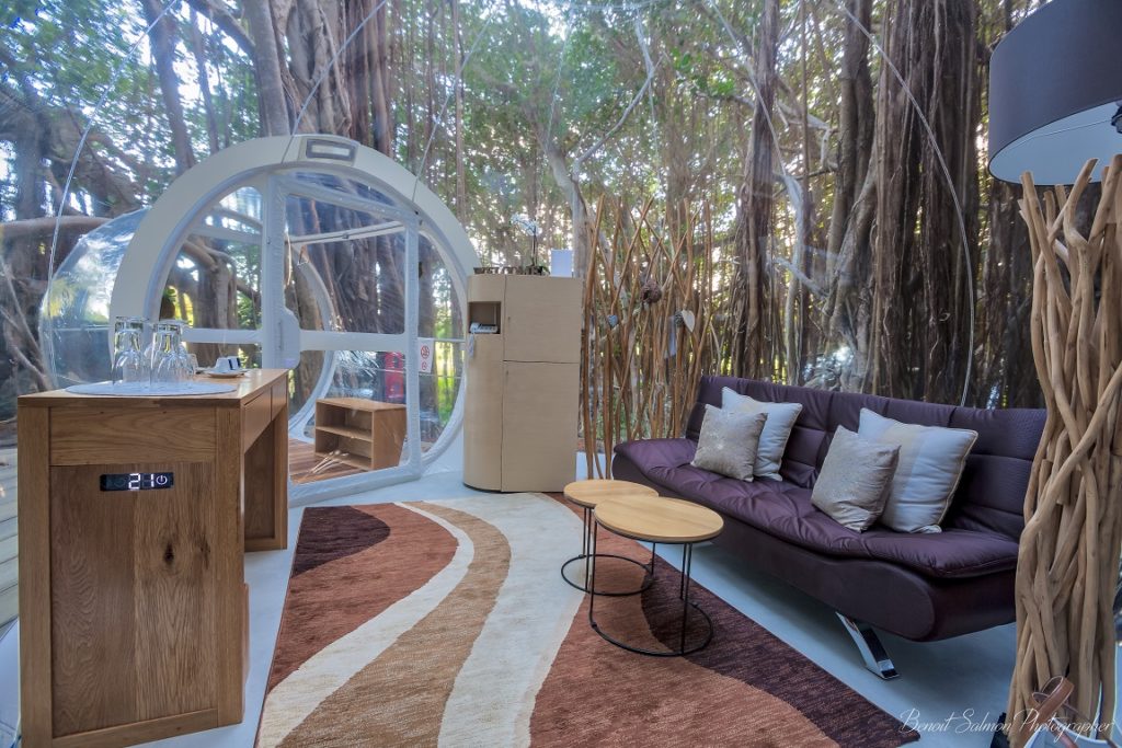 Ile aux Cerfs - Bulle « Banyan Tree »