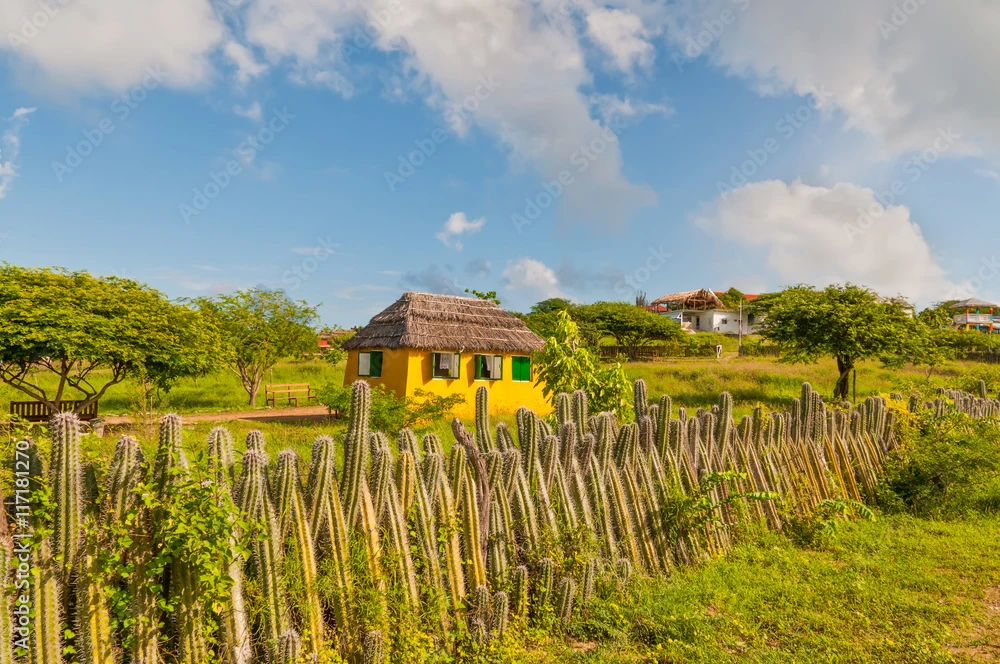 AdobeStock_117181270_Preview