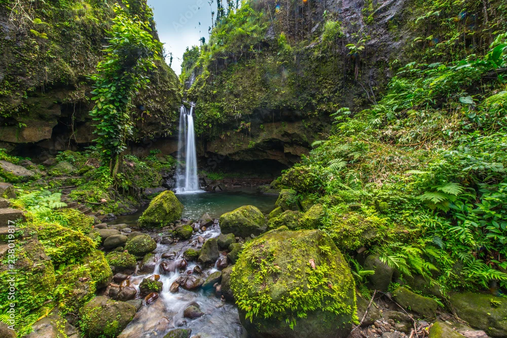 AdobeStock_238019817_Preview
