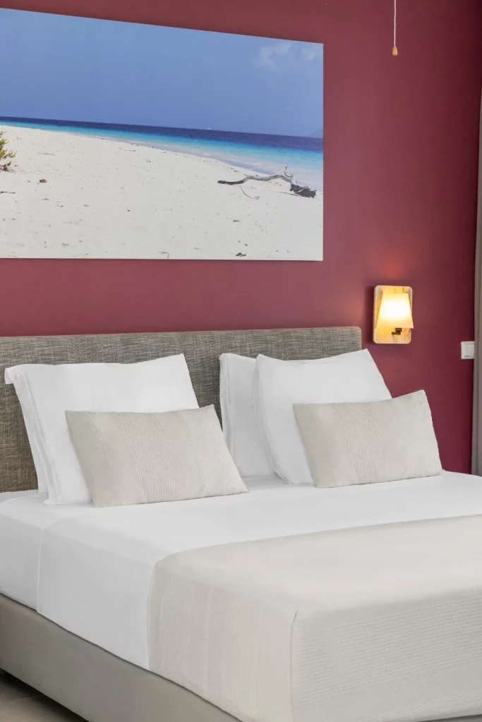 Indalo_Bonaire_Delfins_Studio