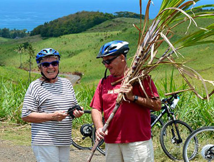 Indalo_Maurice_velo2-815x618