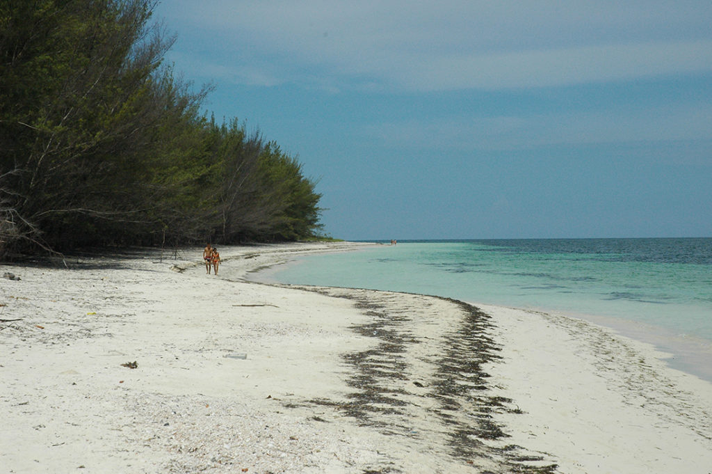 Plage