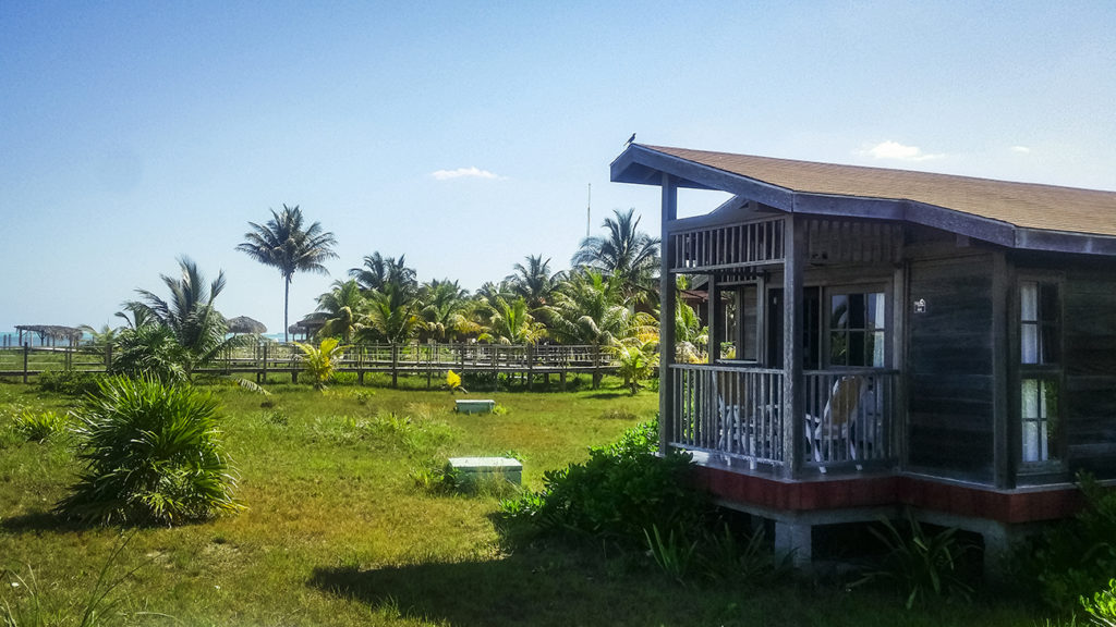 Chambre Tropicale