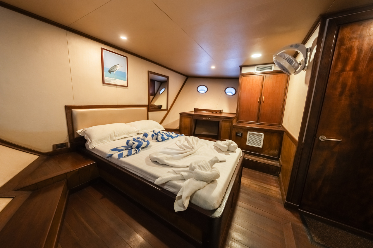 Navires (6) / Cabines (4 à 7)