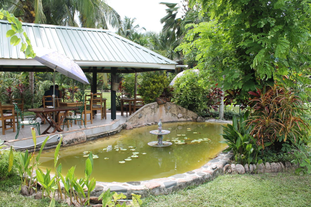 Jardin